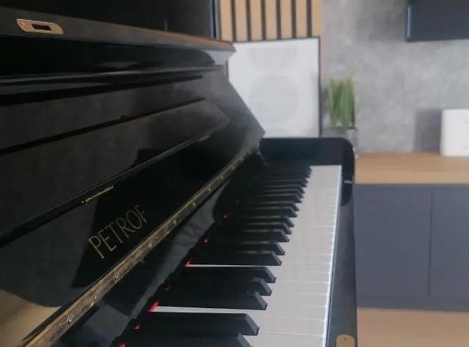 Piano Penthouse Apartment